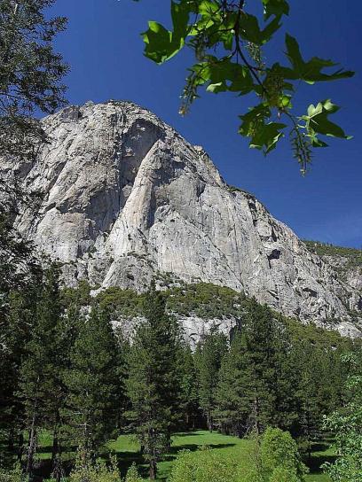 prati, rocce, Sequoia