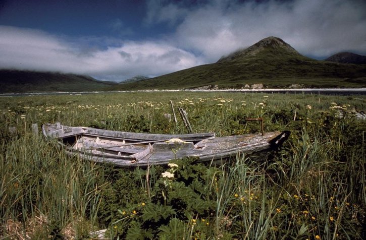wooden, dorey, boat, Alaskan, meadow