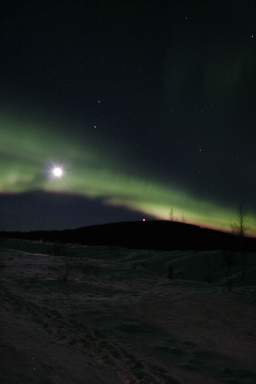 Free picture green lights, sky, night, northern lights