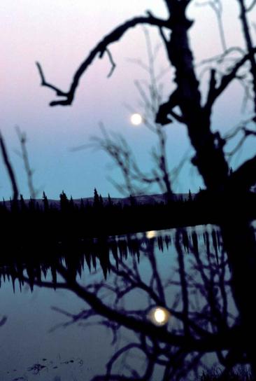 dawn, sjön, reflektion, månen, natursköna