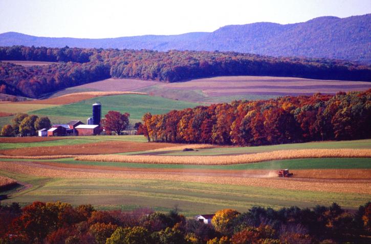 nông nghiệp, Klingerstown, Pennsylvania