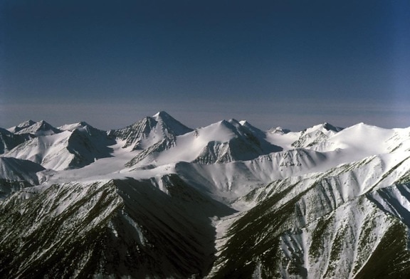 hegyi, tartomány, sarkvidéki, nemzeti, wildlife