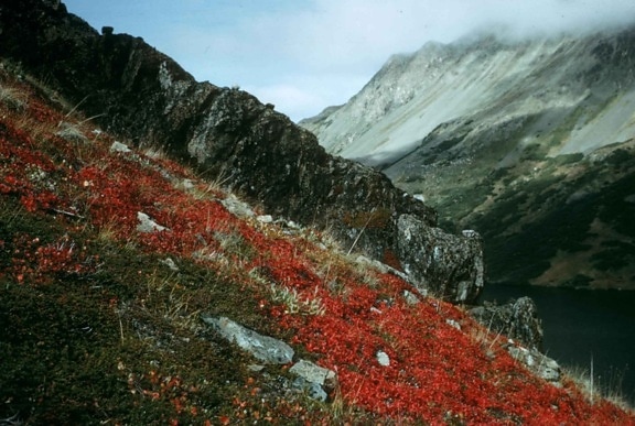 red, mountain, filds, landscape