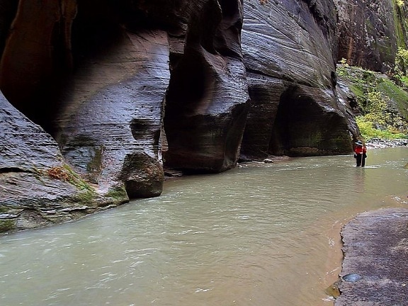 zion, narrows, streams, hiking, wading