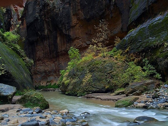 Zion, national park, narrows, streams, river