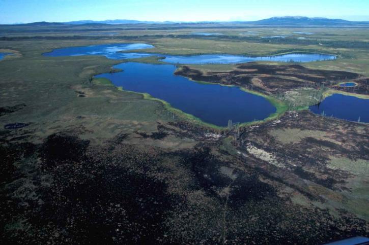aerial, Selawik, national park, wetlands, burn, area