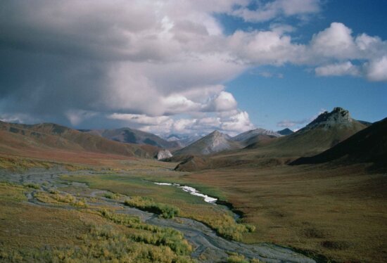 Arctic, national park, landscape