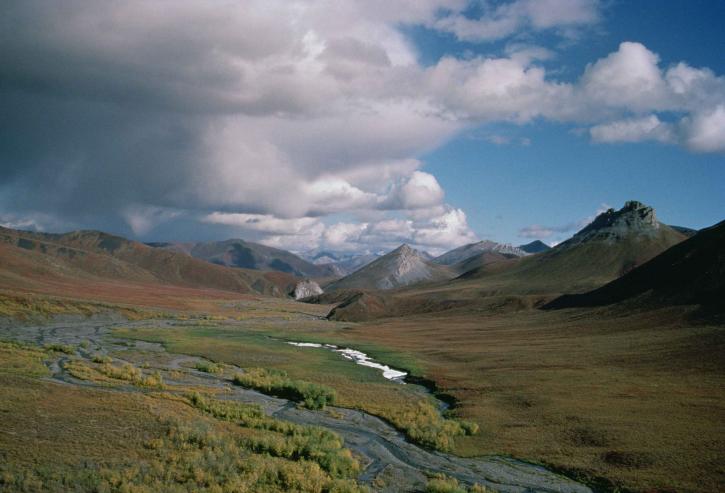 Arktis, nationalpark, landskab