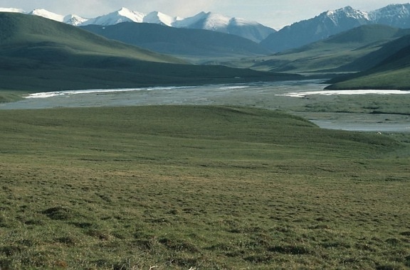 Kuzey Kutbu, vahşi, sığınak, Alaska