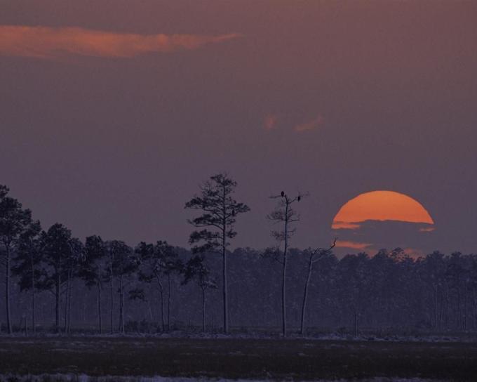 blackwater, wilderness, refuge