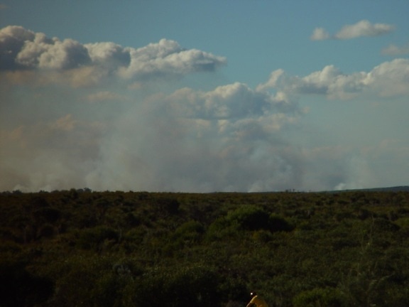 incendios forestales, humo, nubes, Tamala, parque, occidental, Australia