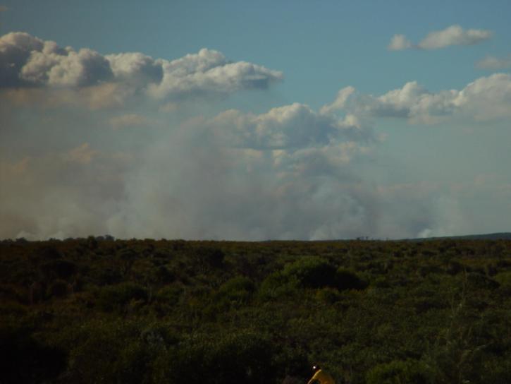 feux de brousse, fumée, nuages, Tamala, parc, occidental, Australie