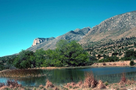 guadalupe, mountains, national park