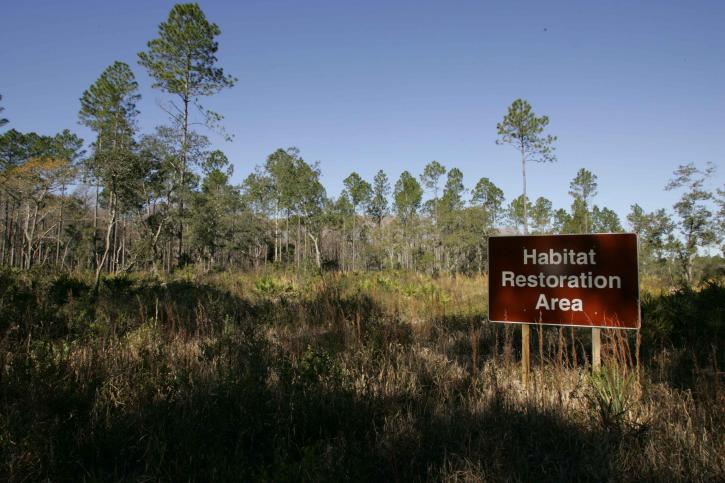 hábitat, restauración, área, señal