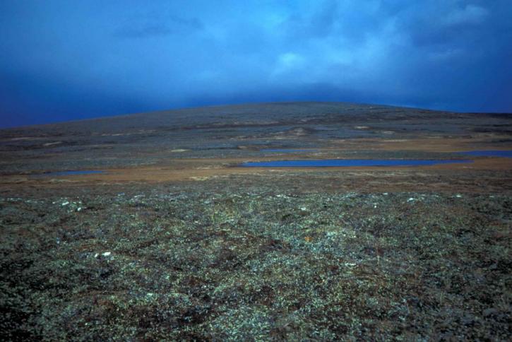 Jezioro, becharof, tundra, blue mountain