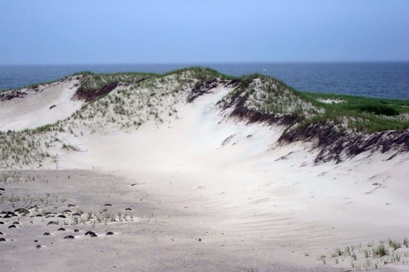 sand, dune, Monomoy, national park