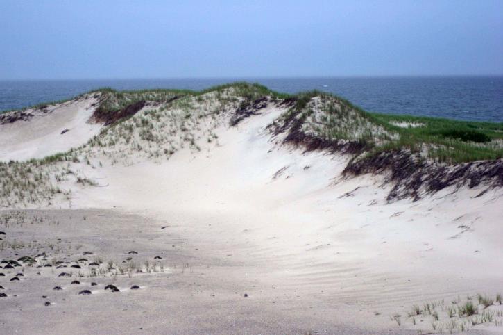 sabbia, dune, Monomoy, parco nazionale