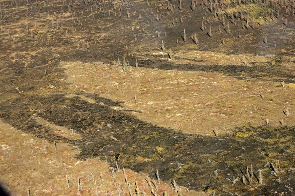 tundra, burned areas