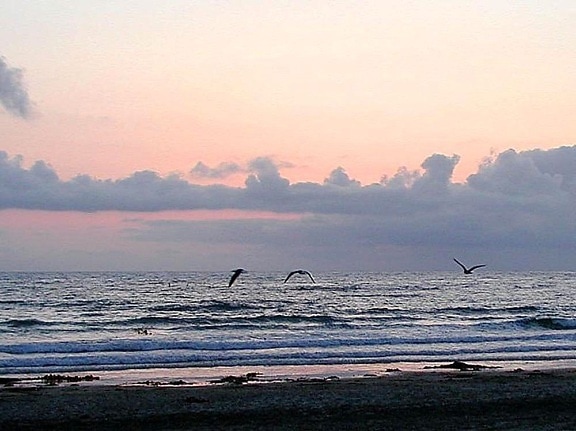 havet, stränderna, solnedgång