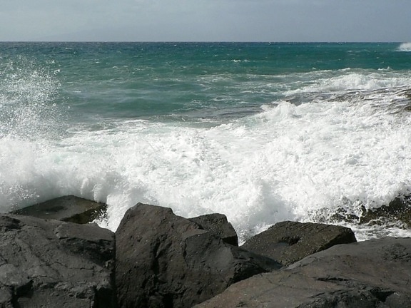 ondas, rotura, océano, costa