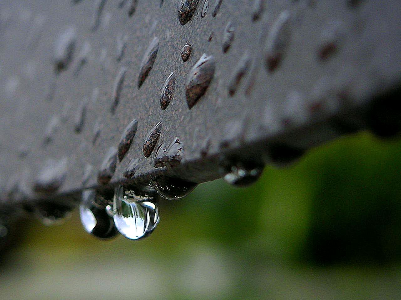 Gole grane kapljice kiše slike
