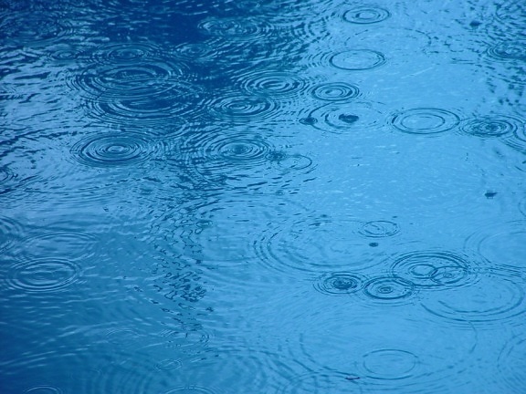 raindrops, water