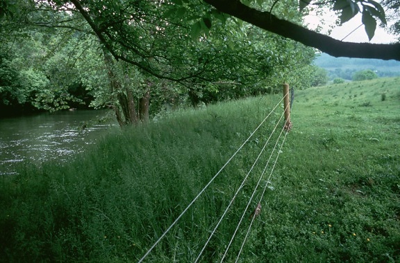 drátěný plot, příroda, řeka, zelené trávy