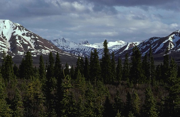alaska, gamme, sauvage, rivière, paysage