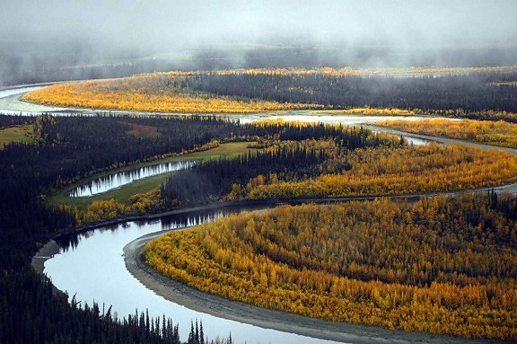 beautiful, river, landscape, fall