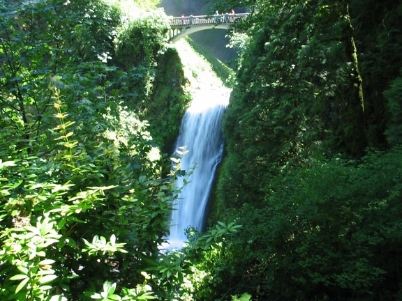colubia, река, водопад