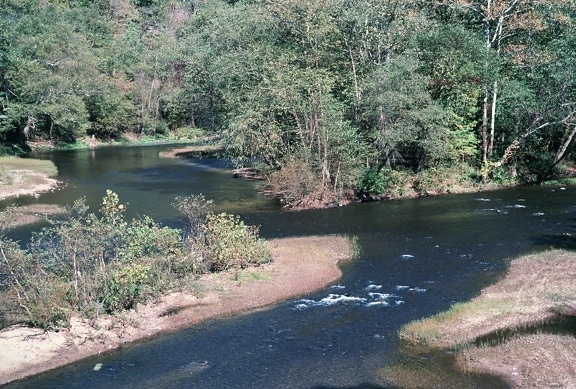 wapitis, rivière, à l'ouest, en Virginie