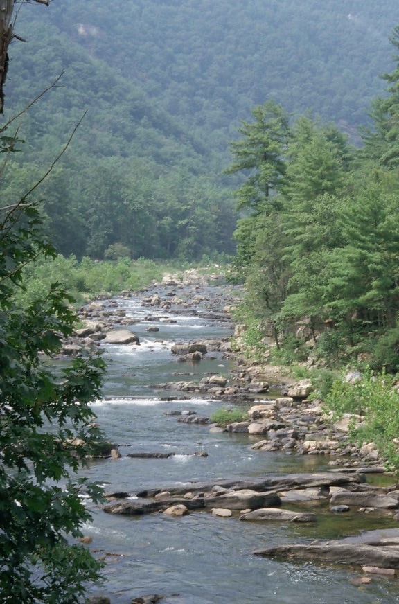 モーリー、川、ゴセンに渡すと、バージニア州