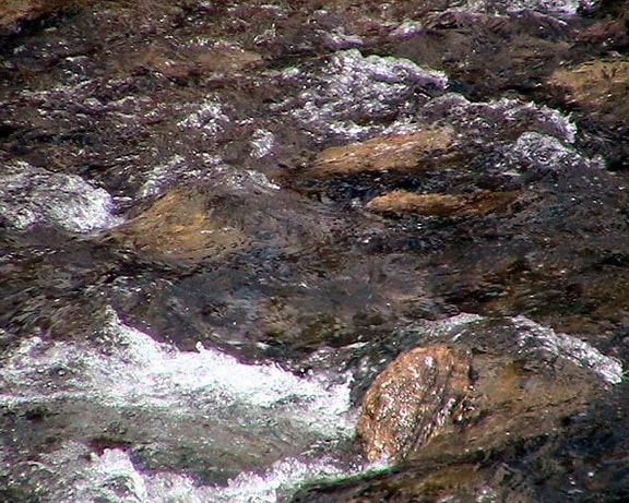 Rapid river, stream vatten, stenar, natur