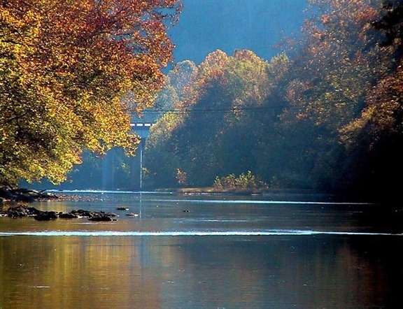 rivière, automne