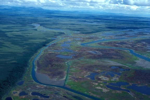 Fluss, Delta, Sumpf, Vogelperspektive