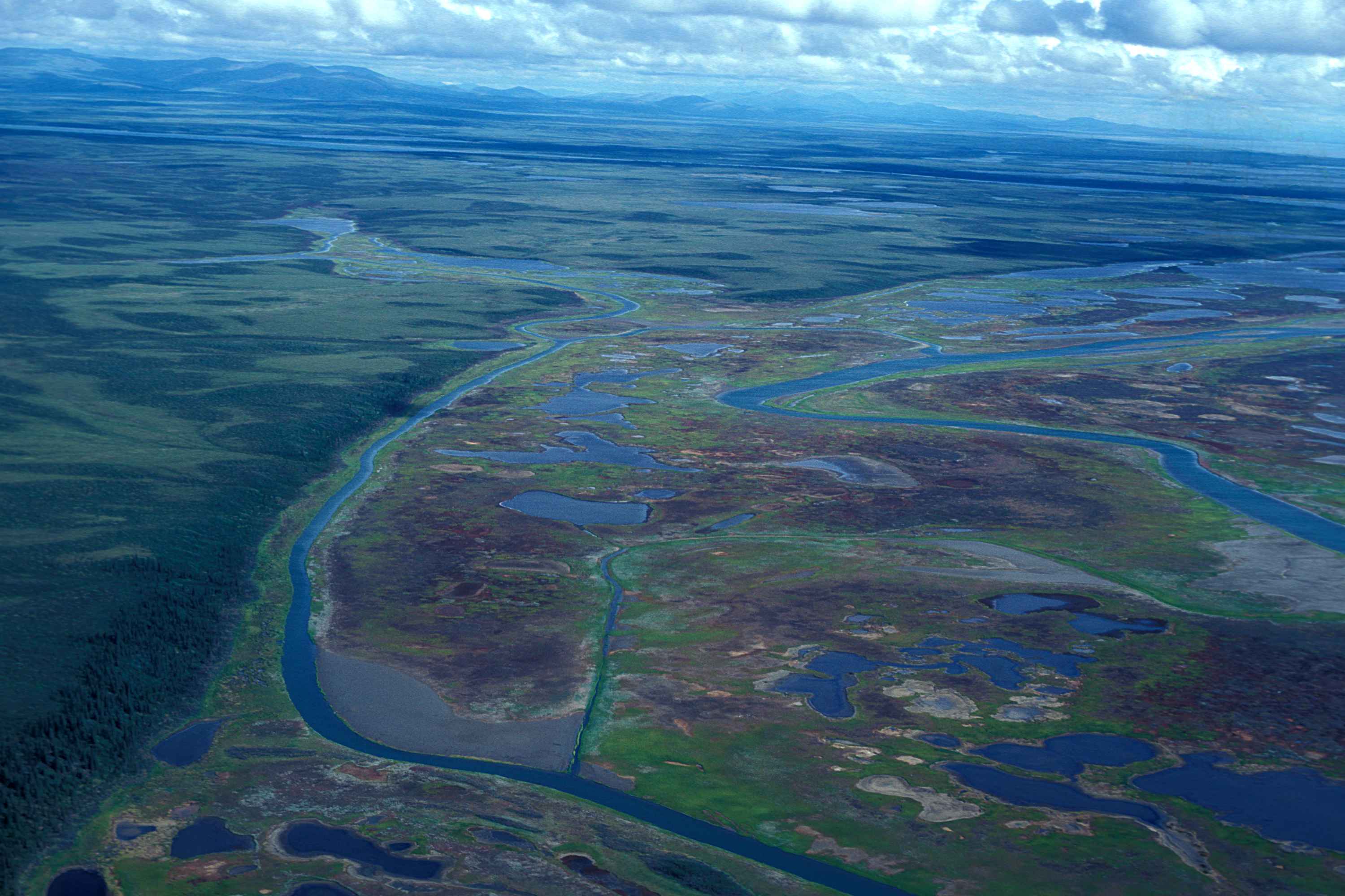 delta meander river