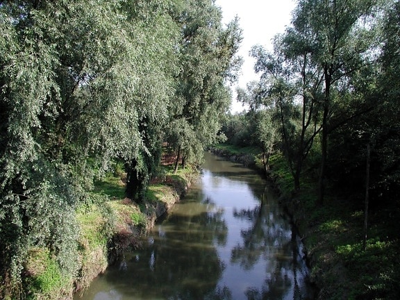 river, nature, habitat