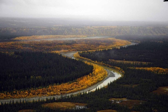 river, landscape, fall