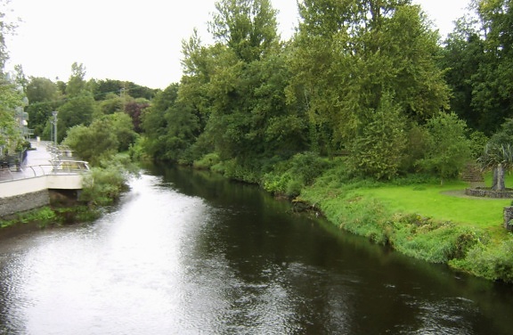 fiume, Liffey, bridge, Kilcullen