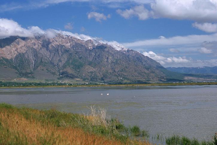 pittoresque, ours, rivière, migrateur, oiseau, refuge, Brigham, ville, Utah