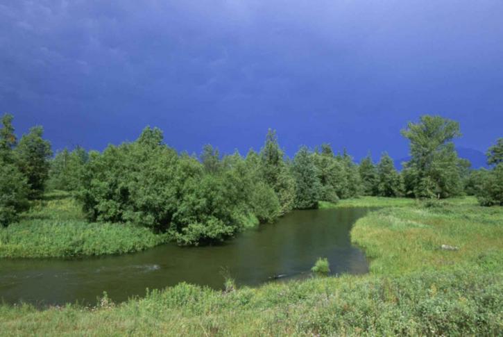 kleine rivier, prairie, borstel, storm, wolken, afstand