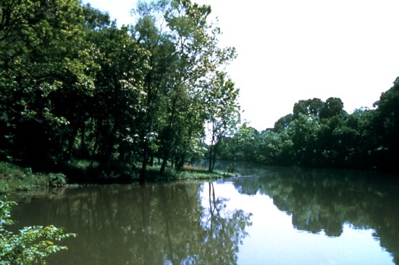 ruisseau, Alabama