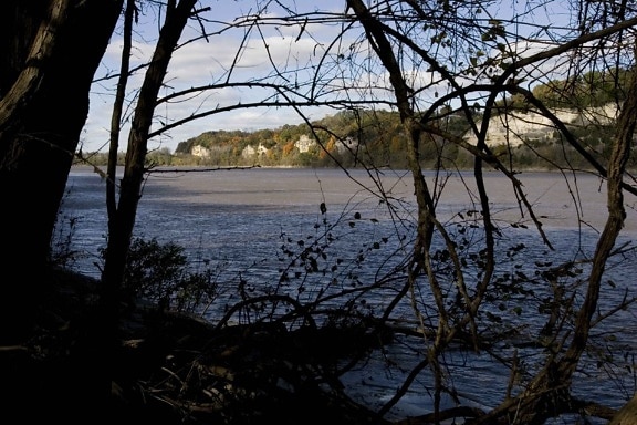 însorit, calcar, stânci, în prezent, Missouri, Râul, silhouetted, copaci