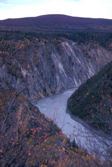 Susitna, rivier, canyon