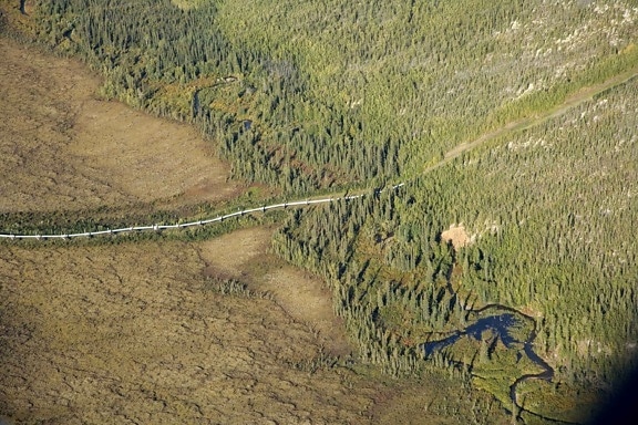 trans アラスカのパイプライン、野生、川を渡る