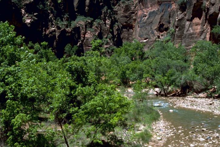 Panna, řeka, Zion, národní park