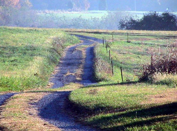 camino rural