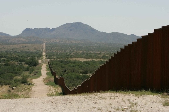 lång, gränsar, staket