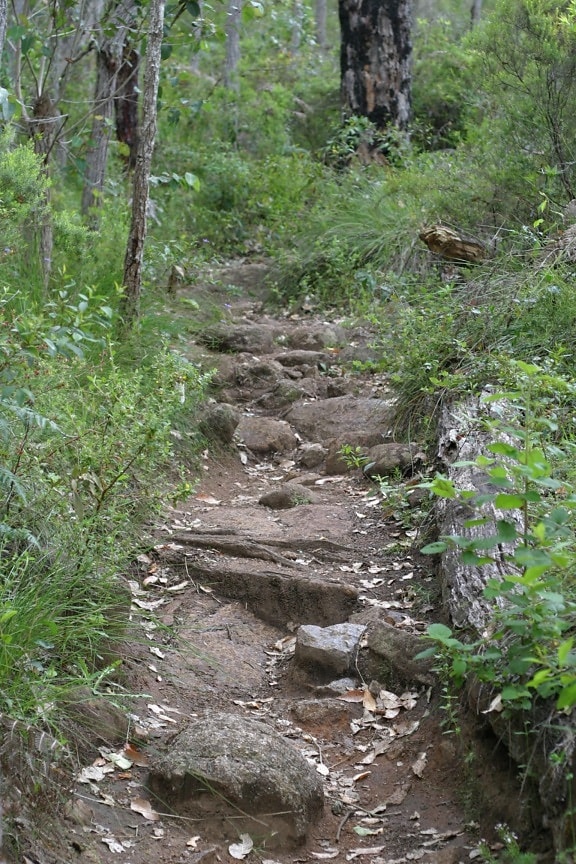 rocky, pathway