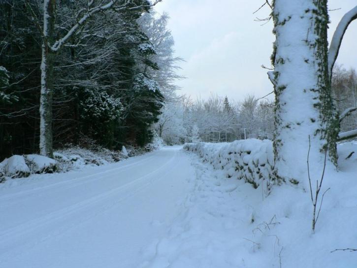 winter, road